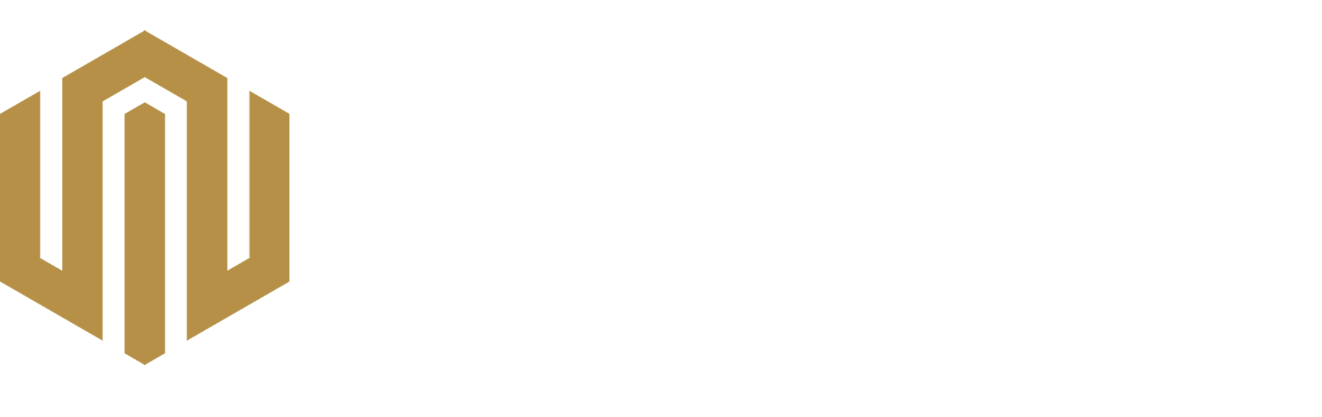 ORION I.P.O
