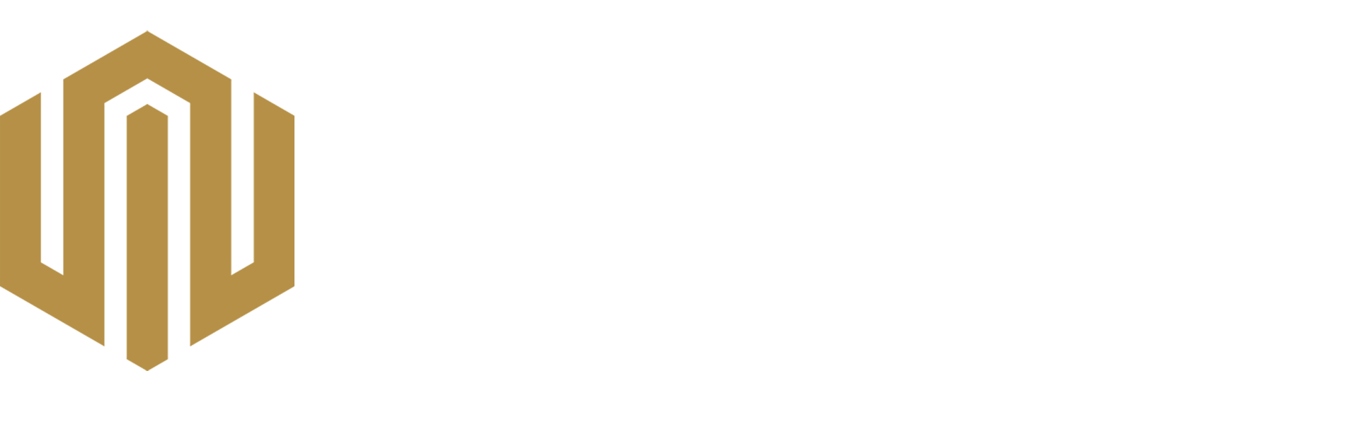 ORION I.P.O.